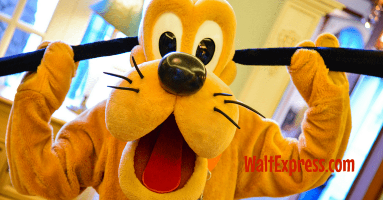 Top 6 Character Dining Spots at Disney World