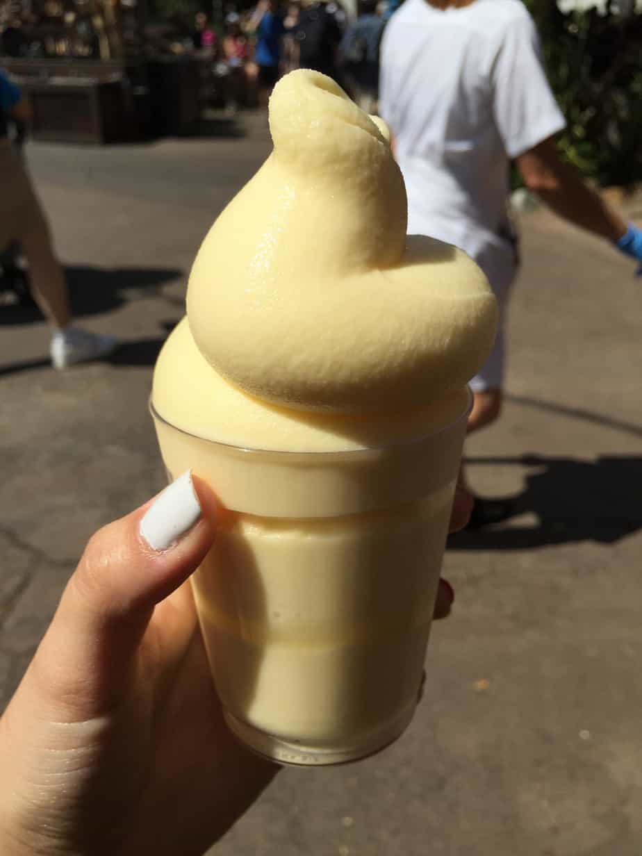 Top 5 Snacks at The Animal Kingdom You CANNOT Miss!