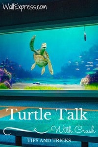 Video: Turtle Talk With Crush at Disney World Review