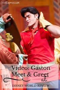 Video: Gaston Meet & Greet at Disney World Review
