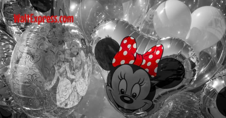 Video: Celebrating Your Birthday in Style at Disney World