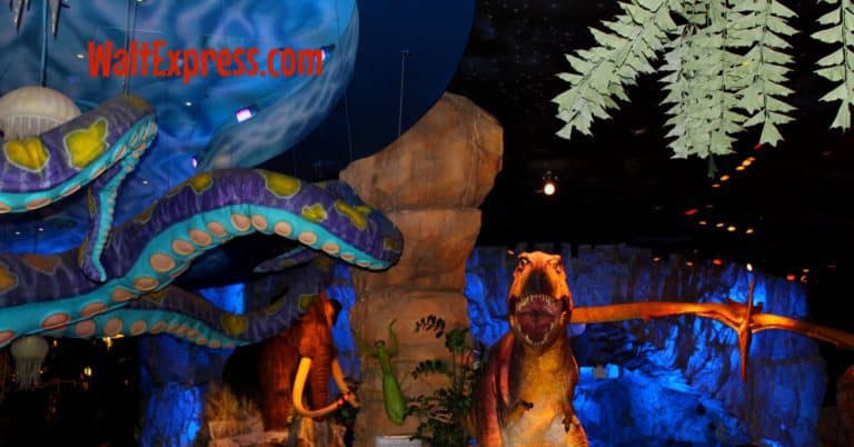 Video: T-Rex: Dining with Dinosaurs-A Disney Dining Review