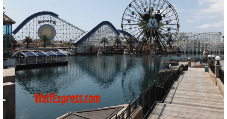 5 Reasons to runDisney in Disneyland