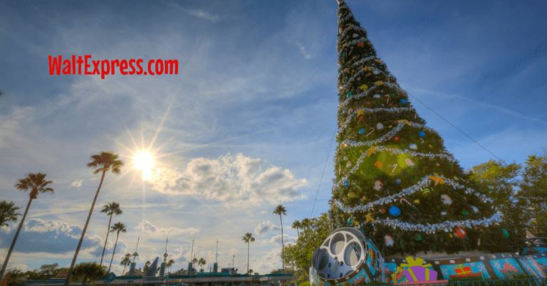 Breaking News: NEW Holiday Nighttime Show at Hollywood Studios