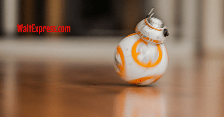 BB-8 Coming to Disney’s Hollywood Studios for New Meet and Greet