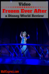 Video From Frozen Ever After At Epcot: A Disney World Review