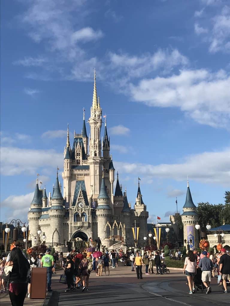 What to Expect in Disney World During the Month of February