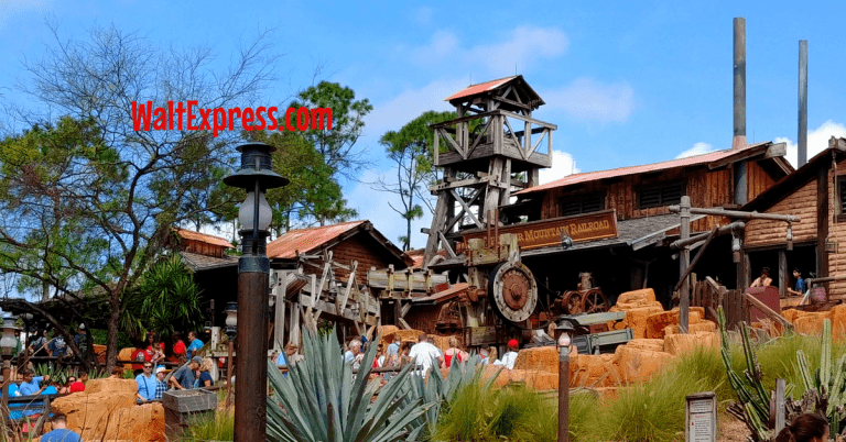 5 Attractions At Disney World Parks For The Thrill Seeking Guest