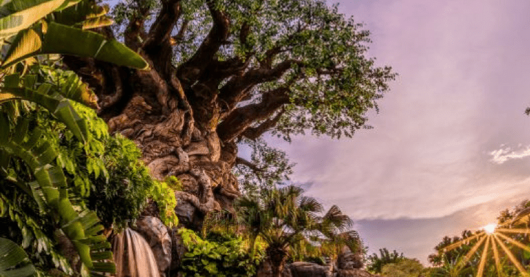 Disney’s Animal Kingdom Plans 20th Anniversary Party For The Planet