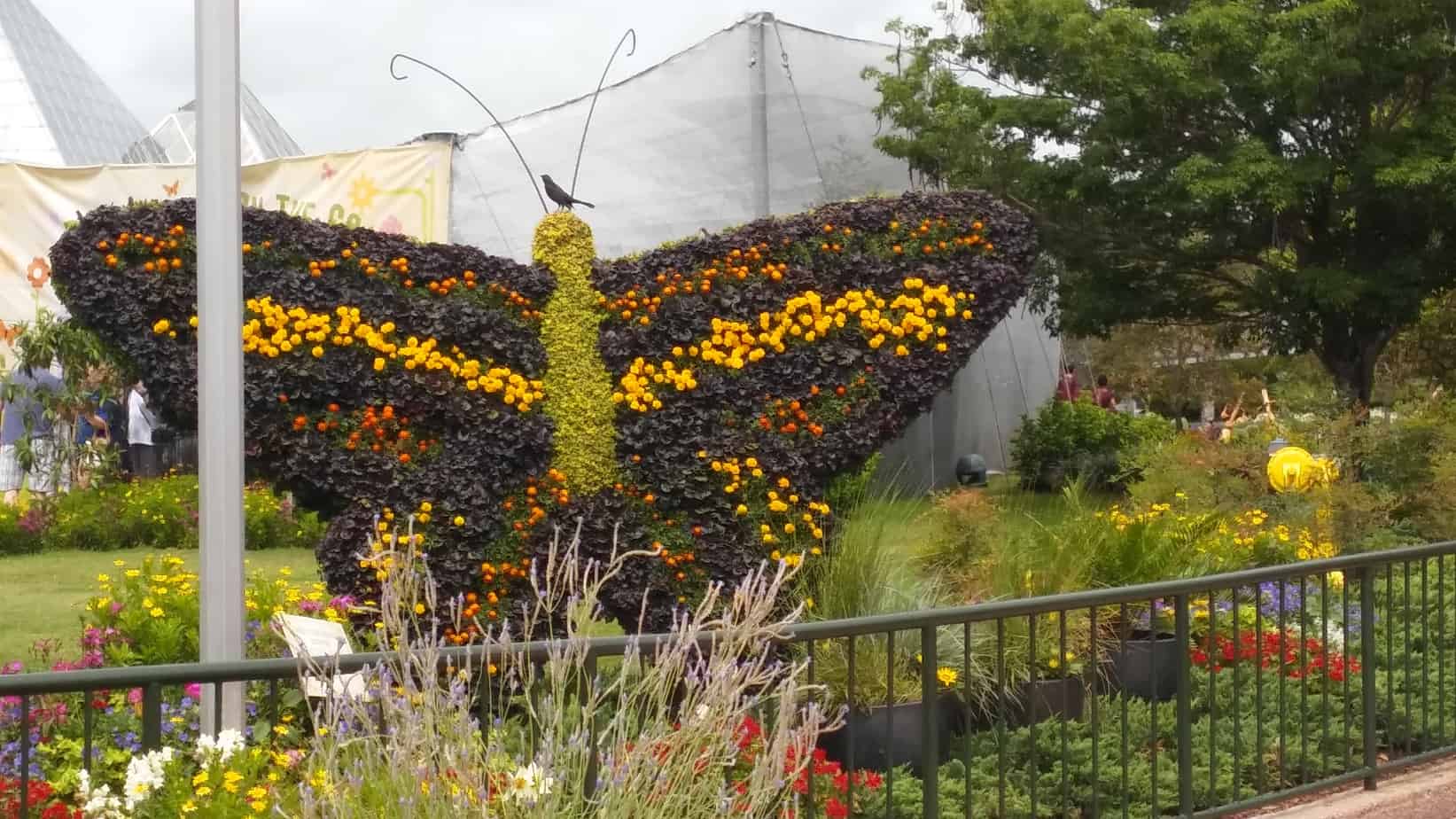 4 Favorite Cocktails At Epcot's Flower And Garden Festival