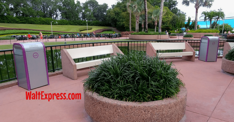 Did You Know: Designated Smoking Areas At Disney World Parks & Resorts