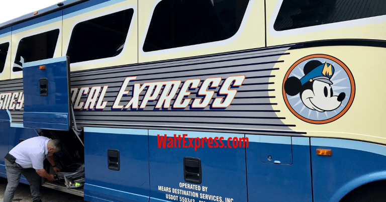 Magical Express: A Disney World Review