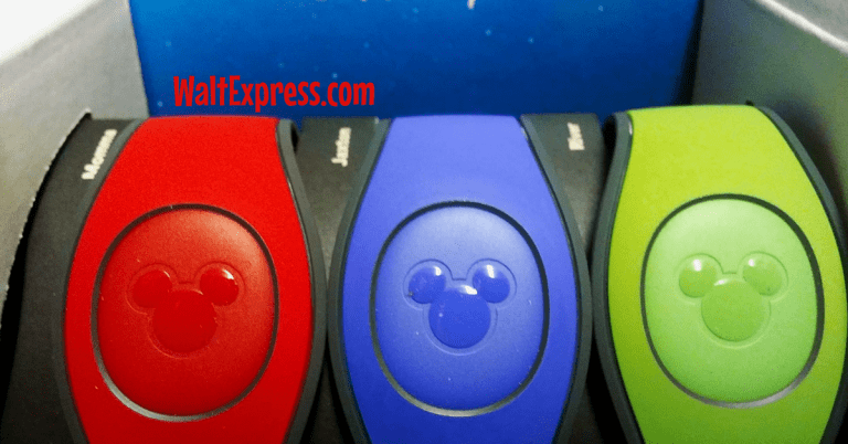 Disney 101: Magic Bands…Don’t Leave Home Without Them!