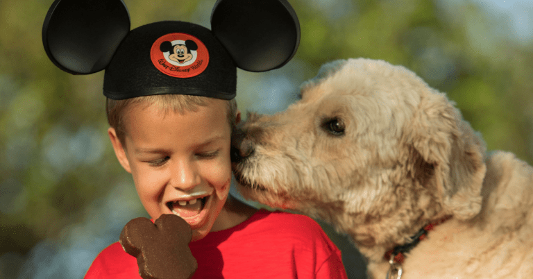 Disney Resort Update: Dog-Friendly Policy WILL Continue At Select Resorts