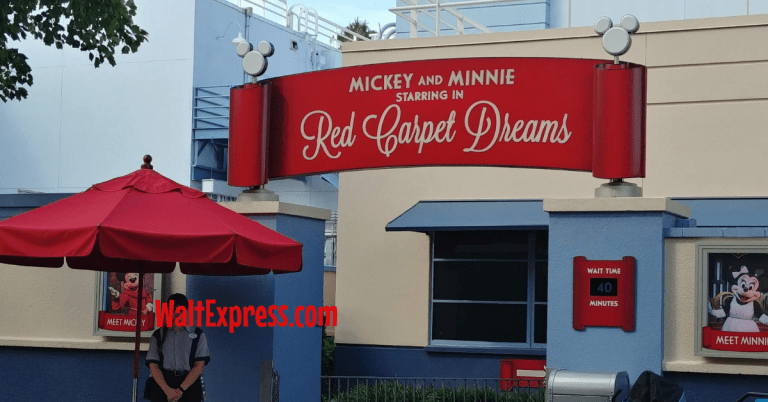 Disney’s Hollywood Studios Attractions With Young Children