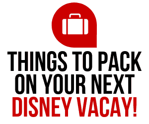 Things to Pack on Your Next Disney Vacation (1)