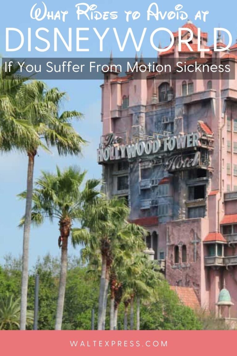 Top 5 Tips for Avoiding Motion Sickness at Disney World