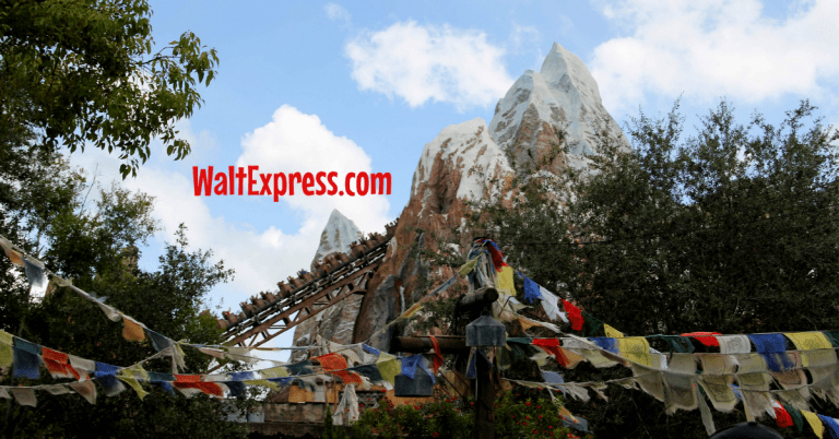 6 Fun Attractions At Disney World’s Animal Kingdom For 10 Year Olds