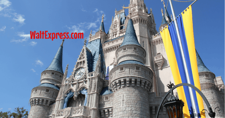 5 Things You Must Do On Your First Disney World Vacation