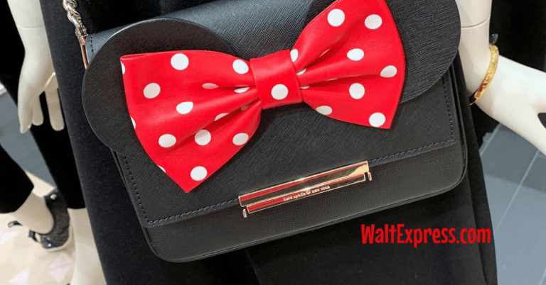 How To Pack The Perfect Park Bag For Disney World