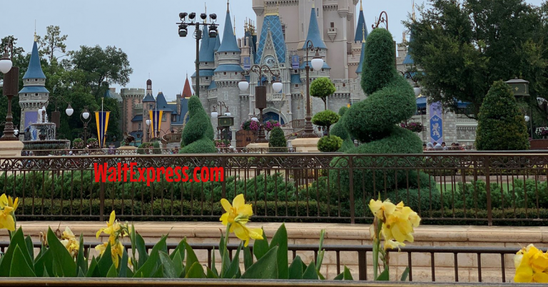 Hidden Dining Gem At Disney’s Magic Kingdom: The Plaza On Main Street