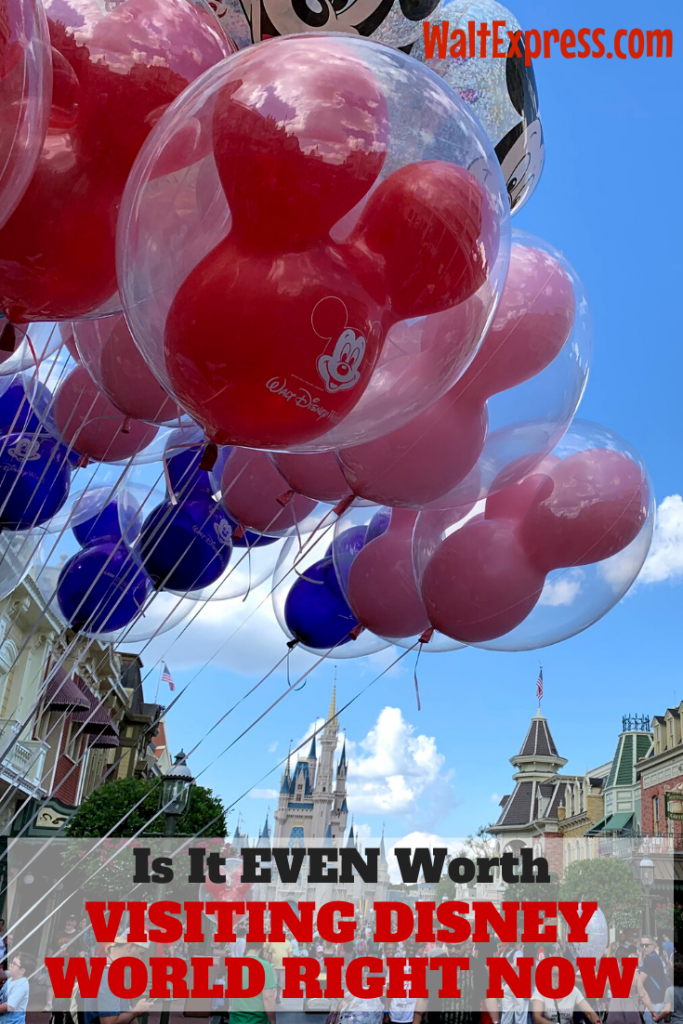 #waltexpress #disneyworld Worth Visiting Disney World
