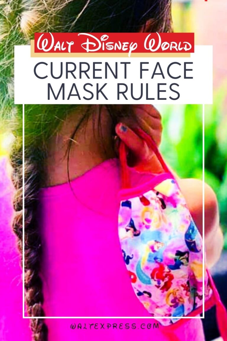 A Guide To Wearing Face Coverings While Visiting Disney World