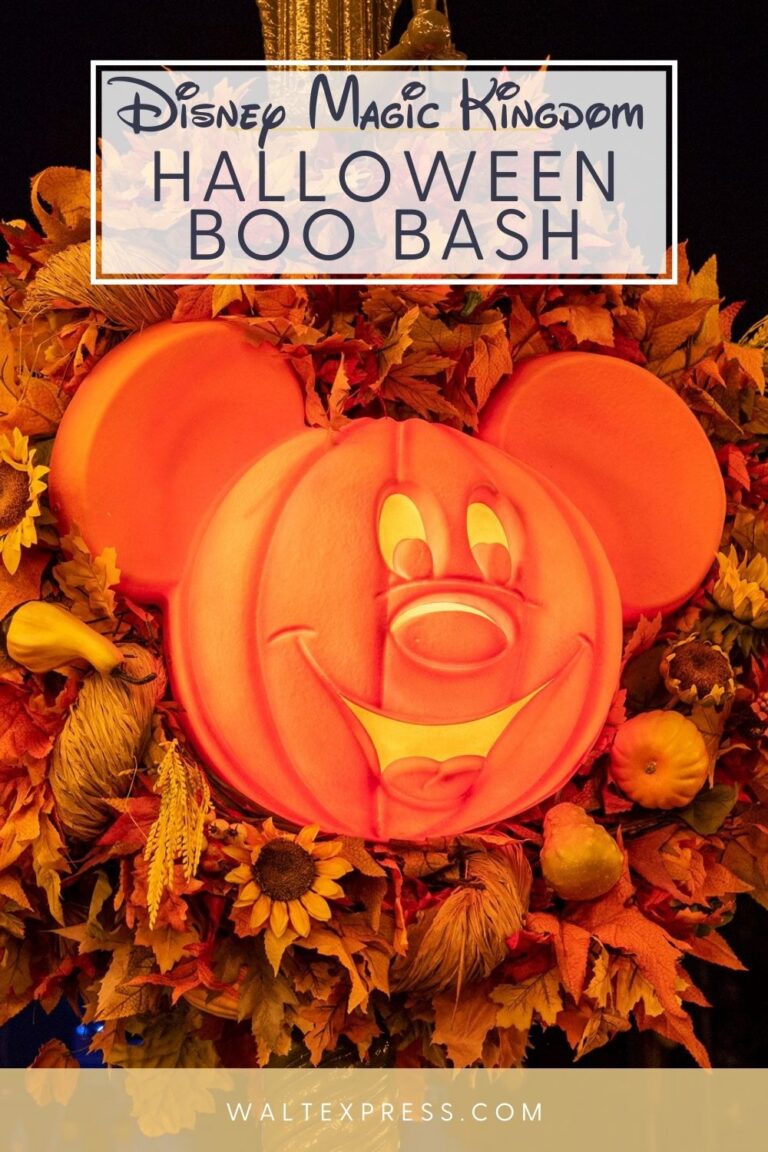 Disney After Hours Halloween Boo Bash